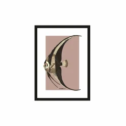 Art Print Mola Mola - zelf samenstellen - Loft24.nl