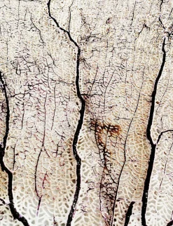 Art Print Soft coral - zelf samenstellen - Loft24.nl