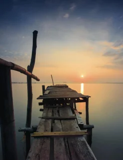 Art Print Sun shy cirebon  - zelf samenstellen - Loft24.nl