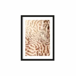 Art Print The brains of the sea  - zelf samenstellen - Loft24.nl