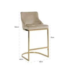 Barstoel Bolton Velvet - zithoogte 75cm - Loft24.nl