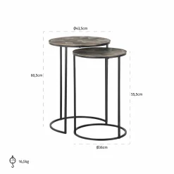 Bijzettafel Tulum Set van 2 stuks - Brushed Gold - Loft24.nl