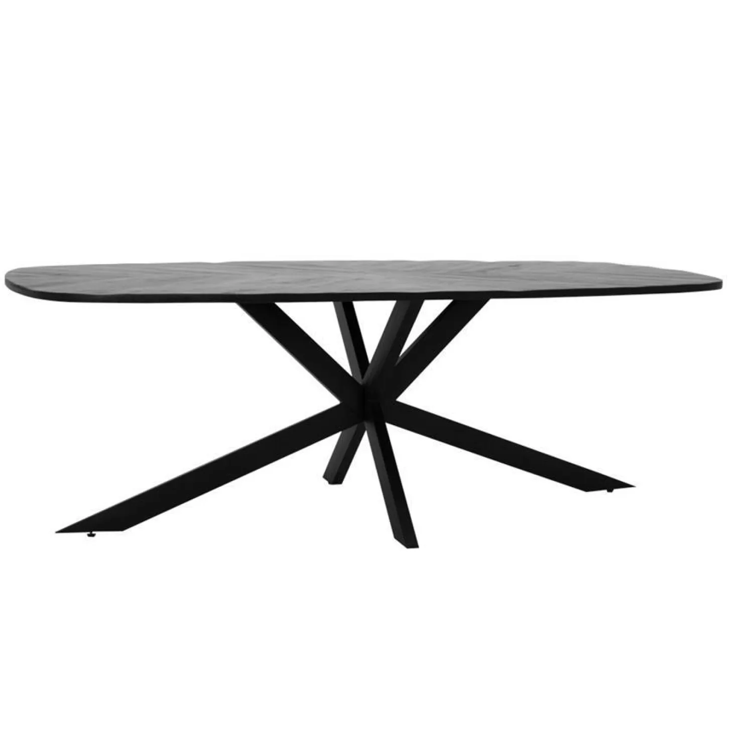 Eettafel Silvi Deens ovaal Mangohout Zwart - 220cm - Loft24.nl