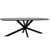 Eettafel Silvi Deens ovaal Mangohout Zwart - 180cm - Loft24.nl