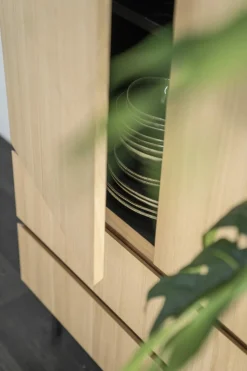 Kabinetkast / Opbergkast Thomas Eikenhout - 95x170 cm - Loft24.nl