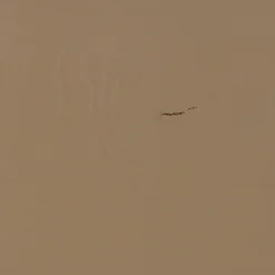 Opbergbank Turner 80 cm - Mud - Loft24.nl