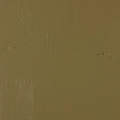 Opbergkast Basu Grenen, 210 x 101cm, kleur Moss - Loft24.nl