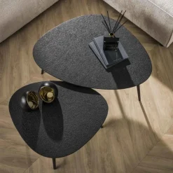 Organische Salontafel Drups Set van 2 stuks - Zwart - Loft24.nl