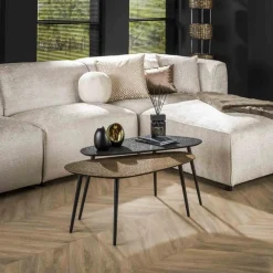 Organische Salontafel Duo Metaal Set van 2 stuks - Goud/zwart - Loft24.nl
