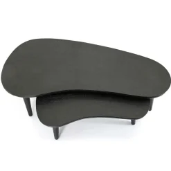 Organische Salontafel Guus Hout set van 2 stuks - Zwart - Loft24.nl