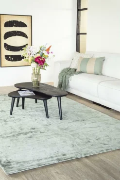 Organische Salontafel Guus Hout set van 2 stuks - Zwart - Loft24.nl