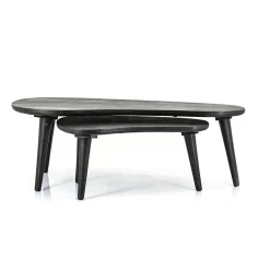 Organische Salontafel Guus Hout set van 2 stuks - Zwart - Loft24.nl