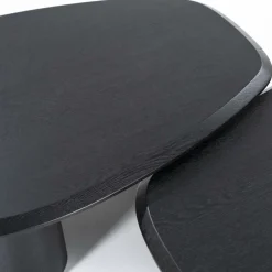 Organische Salontafel Walter Eikenhout Zwart - 106 x 88 cm - Loft24.nl