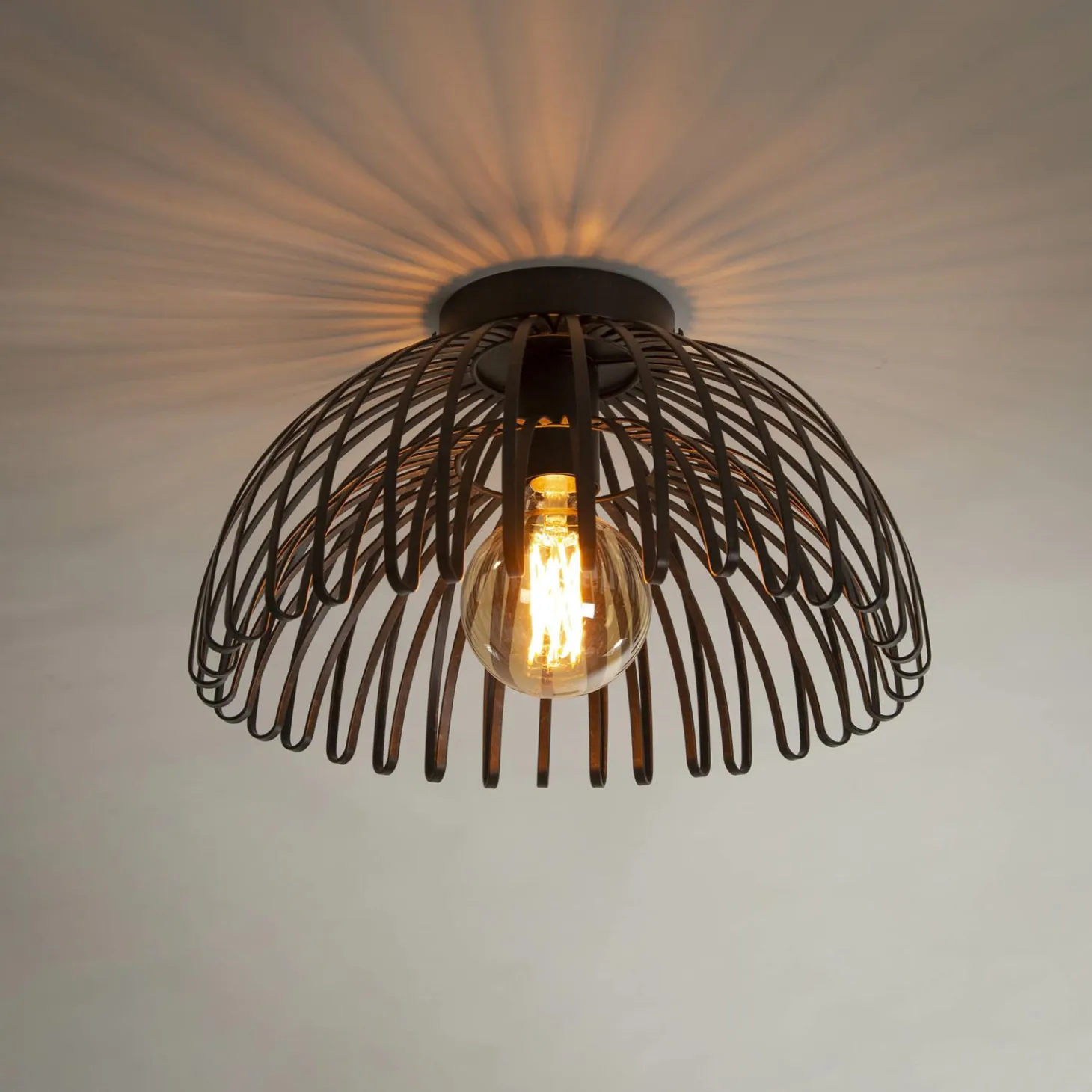 Plafondlamp 1L Gebogen - Loft24.nl