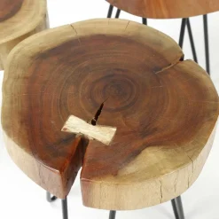 Ronde Bijzettafel Boomstam Acaciahout - 32cm - Loft24.nl