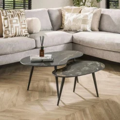 Salontafel Fossil Niervormig Zwart Set van 2 stuks - Loft24.nl