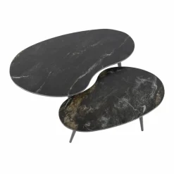 Salontafel Fossil Niervormig Zwart Set van 2 stuks - Loft24.nl