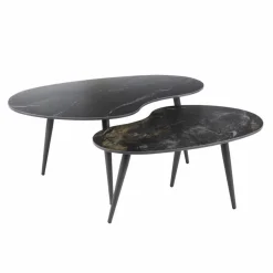 Salontafel Fossil Niervormig Zwart Set van 2 stuks - Loft24.nl