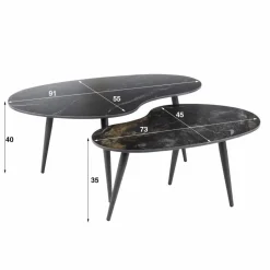 Salontafel Fossil Niervormig Zwart Set van 2 stuks - Loft24.nl