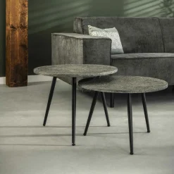 Salontafel met ronde buis Metallic set van 2 stuks Grijs - Loft24.nl