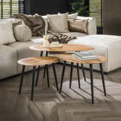 Salontafel Organisch - Set van 3 stuks - Loft24.nl