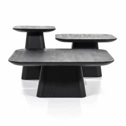 Vierkante Bijzettafel Aron Mangohout - Zwart 60 cm - Loft24.nl