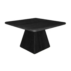 Vierkante Eettafel Asti Mangohout kleur Zwart - Loft24.nl