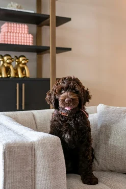 Wandkast Camvbon Eiken 200 x 116cm - Loft24.nl