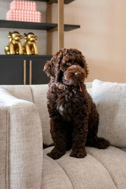 Wandkast Camvbon Eiken 200 x 116cm - Loft24.nl